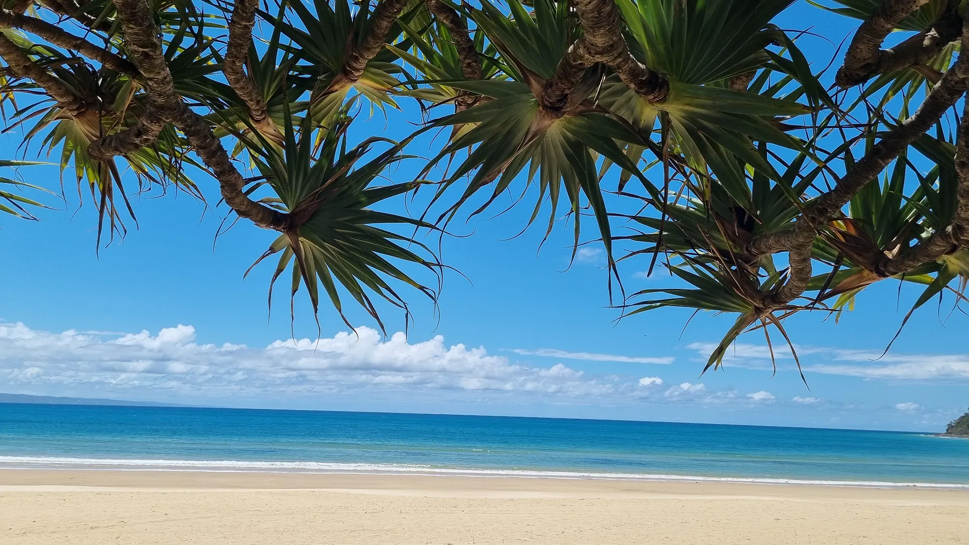 Noosa River Retreat Holiday Apartments Noosaville Australie